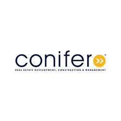 Conifer