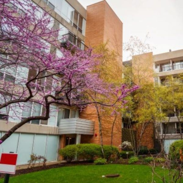 Why winter damage shows up in late spring and early summer