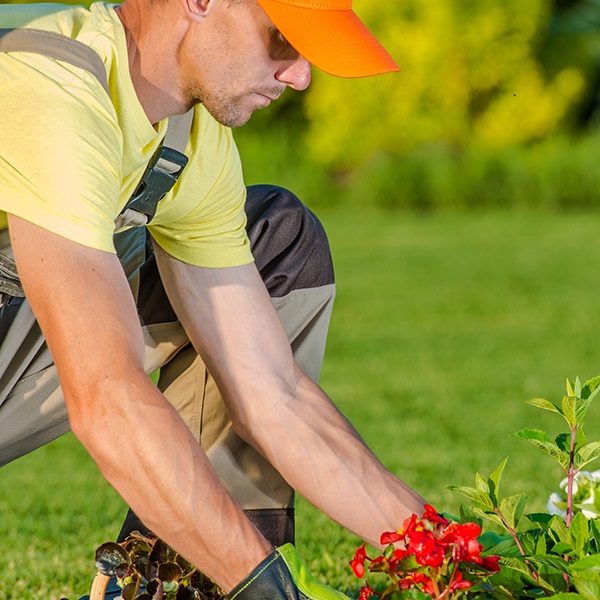 Spring-Landscaping.jpg