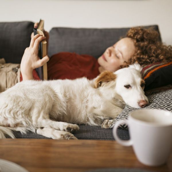 The ESA shake-up: HUD’s new rules for Assistance Animals  (Skills On-demand)