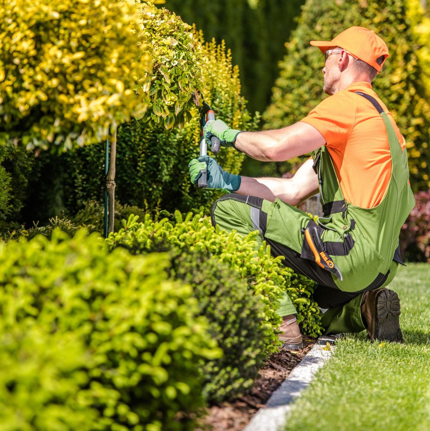 Take the Guesswork Out of Landscape Maintenance: Easily Budget & Plan for Every Season (Skills On-demand)